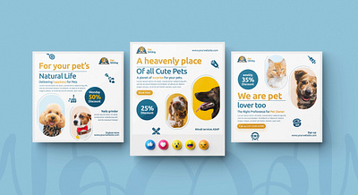 Flat Design Pet Sitting Posts beauty branding design graphic design illustration post