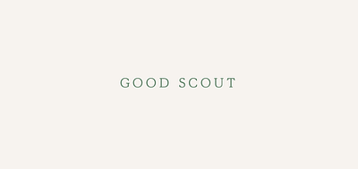 Good Scout brand design branding business cards design graphic design logo logo design