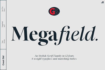 Megafield Font Family brandings font family fonts logo modern serif packinging serif fonts serifs type design typeface