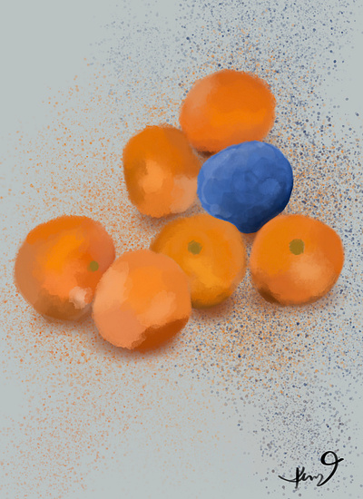 Blue Orange design drawing food fruit graphic design illustration orange