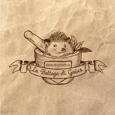 La Bottega di Gaius - Brand Design branding character design cute logo graphic design hand drown hedgeog herbal herbalist logo mascotte pattern surface design