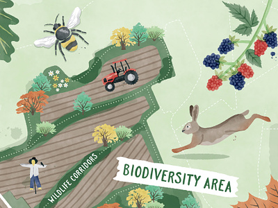 Illustrated Map for Keisby Estate Biodiversity Scheme bee biodiversity brambles design english countryside estate farm garden hare illustrated map illustration leaves map national trust rewilding scarecrow tractor vector watercolour