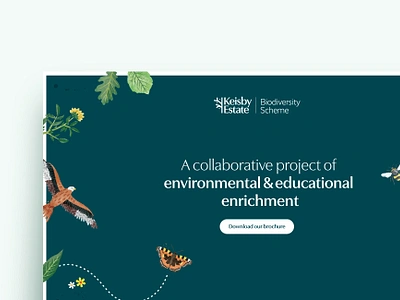 Landing page design for Keisby Estate Biodiversity Scheme biodiversity bird of prey branding butterfly countryside educational environmental farm garden hawk homepage illustration landing page leaves rewilding ui web design website wildlife