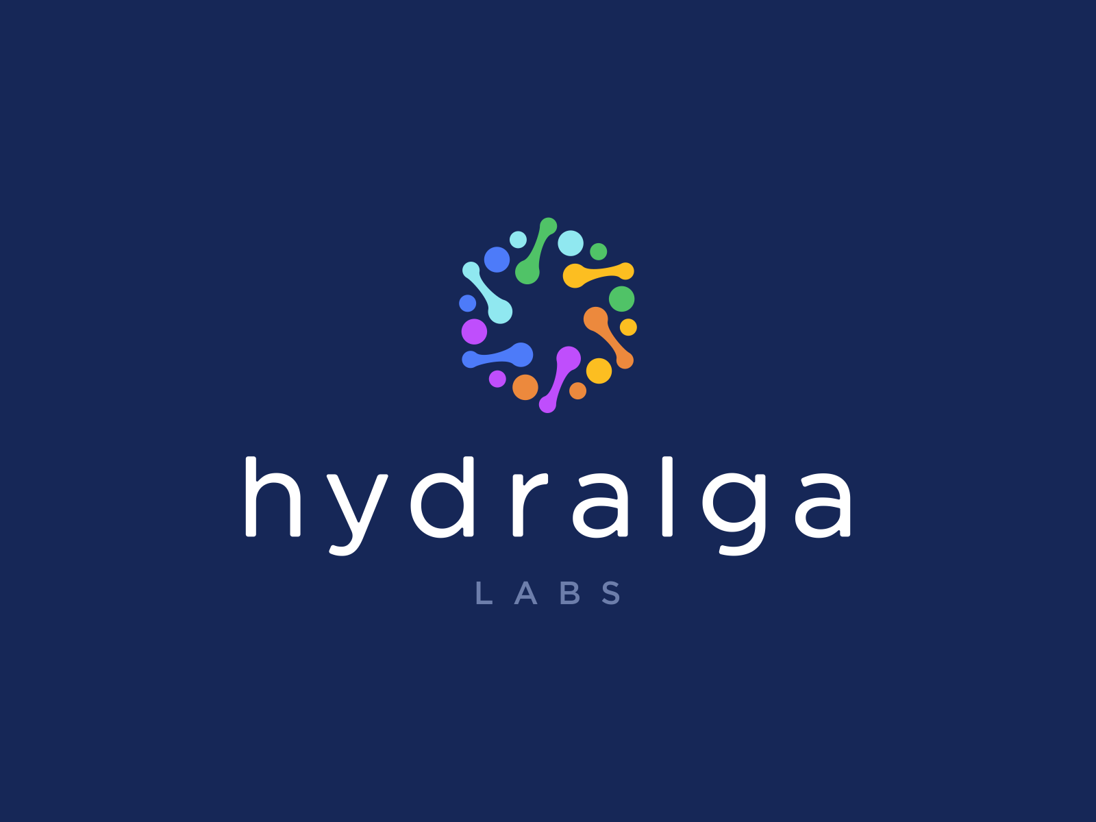 Abstract Logo - Hydralga Logo Design abstract logo brand colorful crypto design designer ecommerce gradient icon logo logodesign logotype medical modern nature saas simple software symbol tech