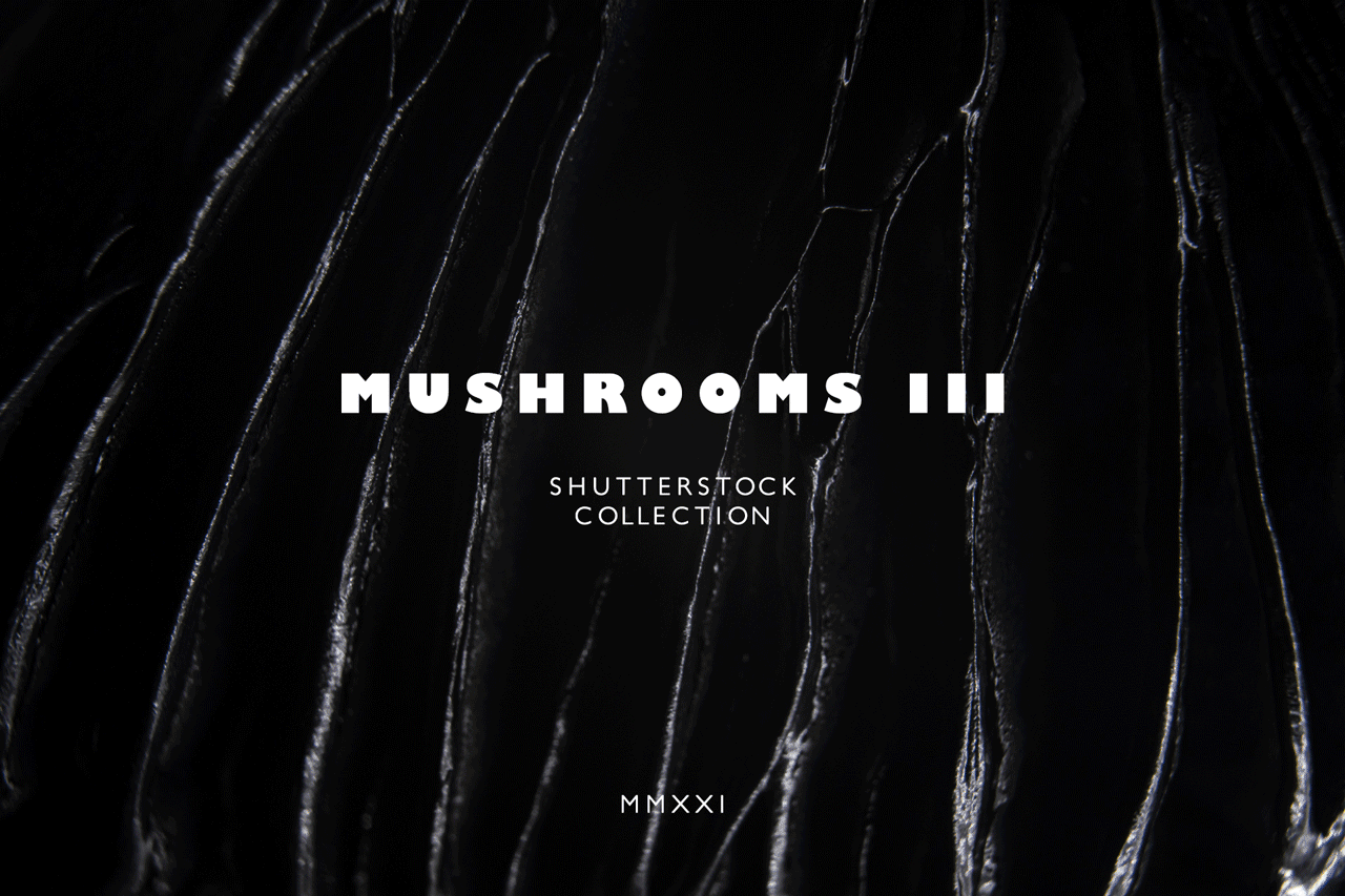 Mushrooms III abstract backgound cap close up design focus fresh macro mushroom nature texture wallpaper