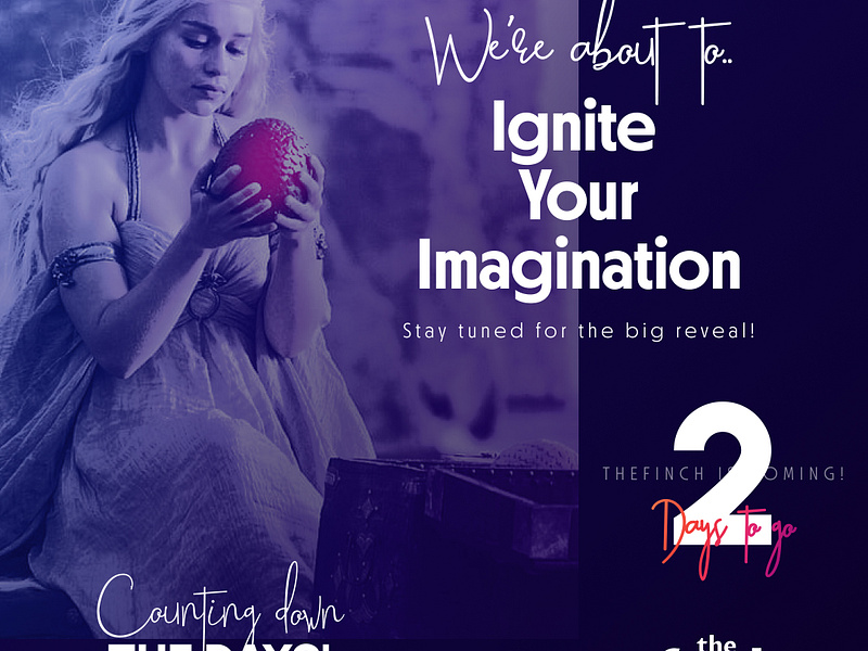 We're about to IGNITE YOUR IMAGINATION branding design graphic design launching logo thefinch design ui ui design website launch