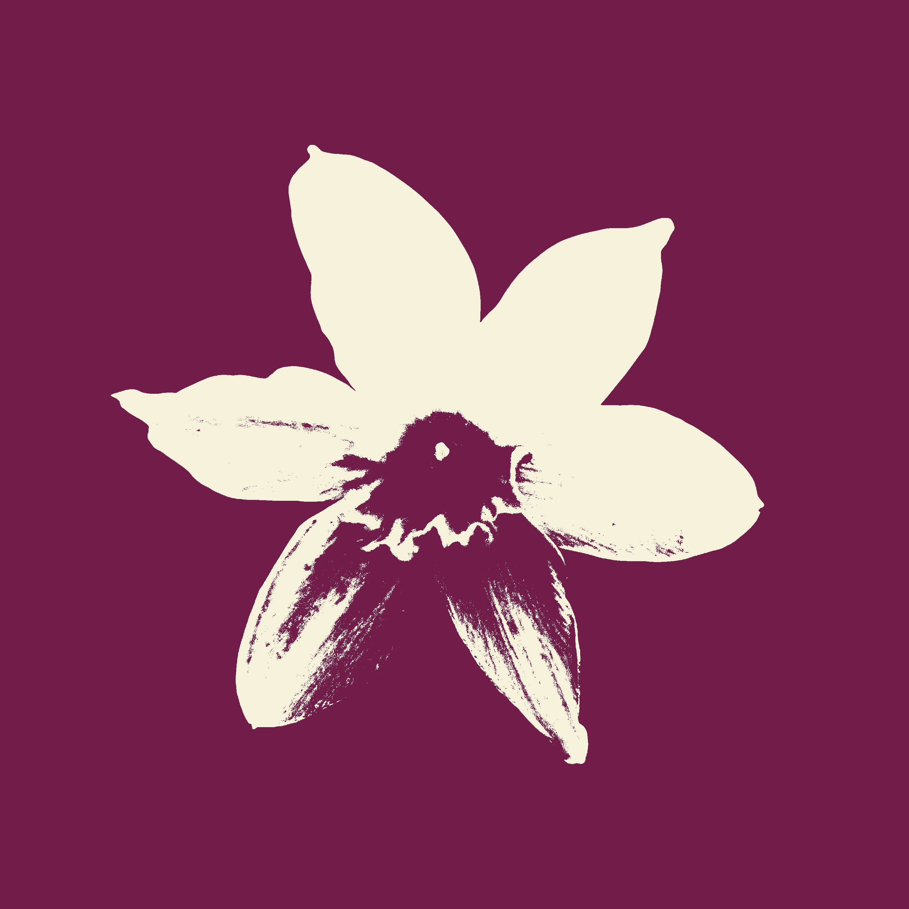 The hope of the narcissist animation effect flower graphic graphic design illustration motion nature photo