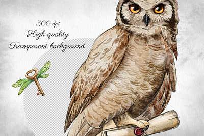 Watercolor Magic clipart clipart design drawing hand painted illustration magic owl painting set watercolor