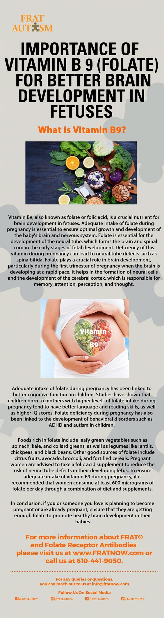 Importance Of Vitamin B9 (Folate) For Better Brain Development I by Digitaly on Dribbble