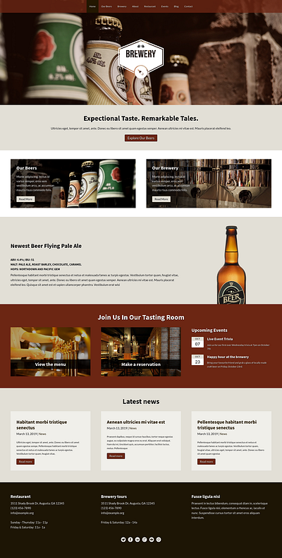 Beer Brewery Website design graphic design ui ux website wordpress