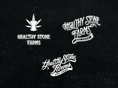 Logo Lettering Healthy Stone Farms branding customlettering design farmer farms graphic design handdrawn handlettering healthy illustration lettering logo logotype roughlettering script lettering type typography victorian vintage lettering vintagedesign