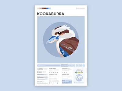 Kookaburra Poster bird bird illustration education kookaburra modern modern poster