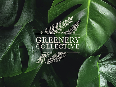 Greenery Collective brand identity brand brand identity branding flower shop greenery greenery logo logo design logo design suite plant shop plant shop identity plant shop logo women in design