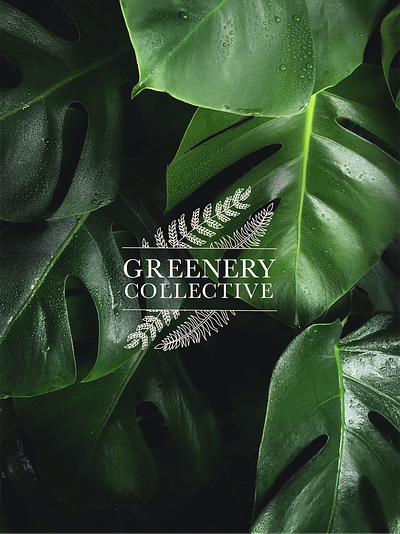 Greenery Collective brand identity brand brand identity branding flower shop greenery greenery logo logo design logo design suite plant shop plant shop identity plant shop logo women in design