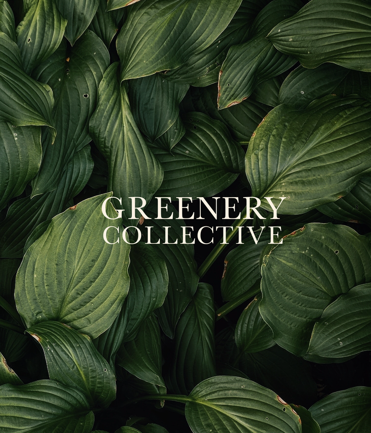 Greenery Collective brand identity by Sydney Resnik on Dribbble