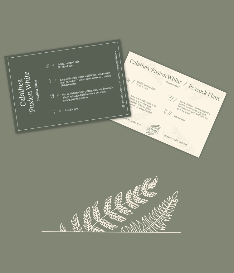 Greenery Collective brand identity by Sydney Resnik on Dribbble