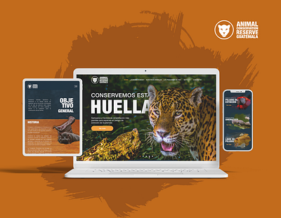 Animal Conservation graphic design ui ux web web design web development