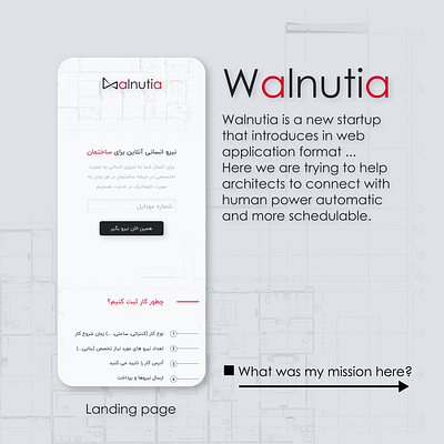 Walnutia app art branding design graphic design illustration logo ui user research ux vector web design