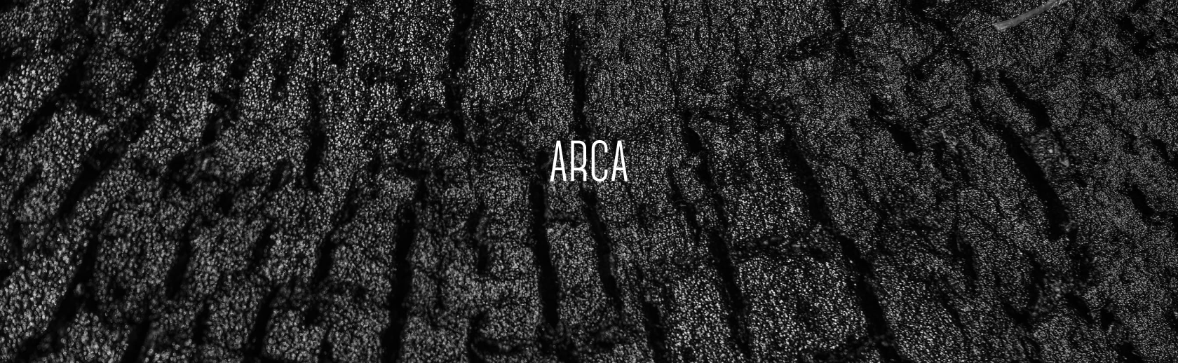 ARCA product design restaurant ui ux web