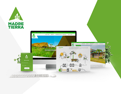 Madre Tierra app development design ui ux web design web development