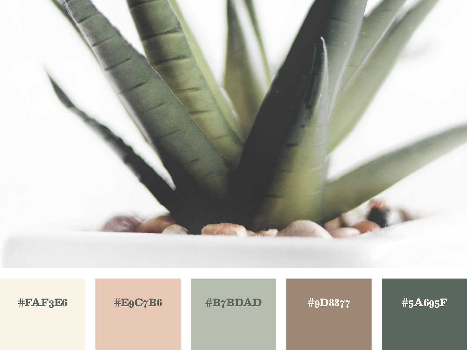bohemian-color-scheme-eclectic-color-palette-bohemian-colors-color