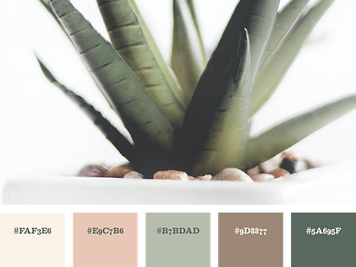 Boho color palette color color palette