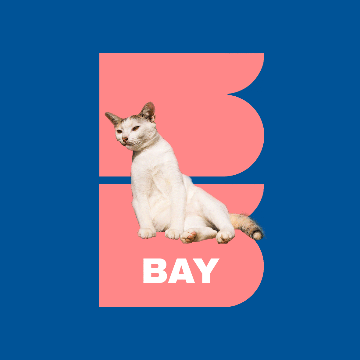 Her name is Bay cat color graphic design logo study world cup 2026