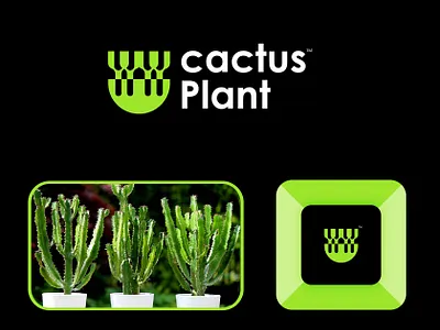 Cactus Plant Logo Design brand identity branding cactus logo logo logo designer logo maker logo type logodesign natural logo organic logo plant logo tree logo unique logo