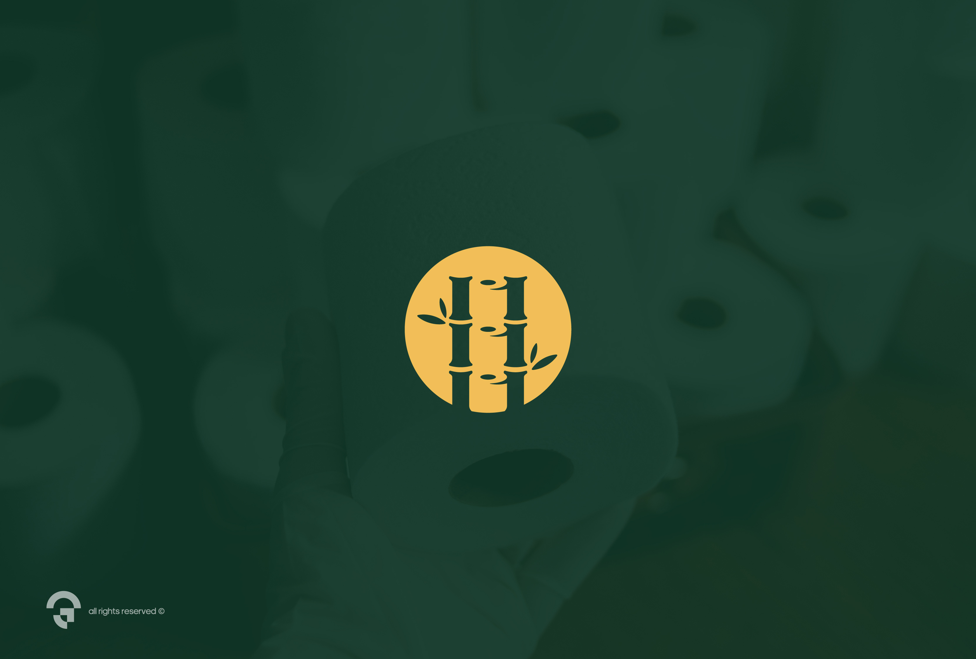 Bamboo Toilet Paper bamboo branding clean coreldraw design graphic design logo minimalist modern negativespace toilet paper vector