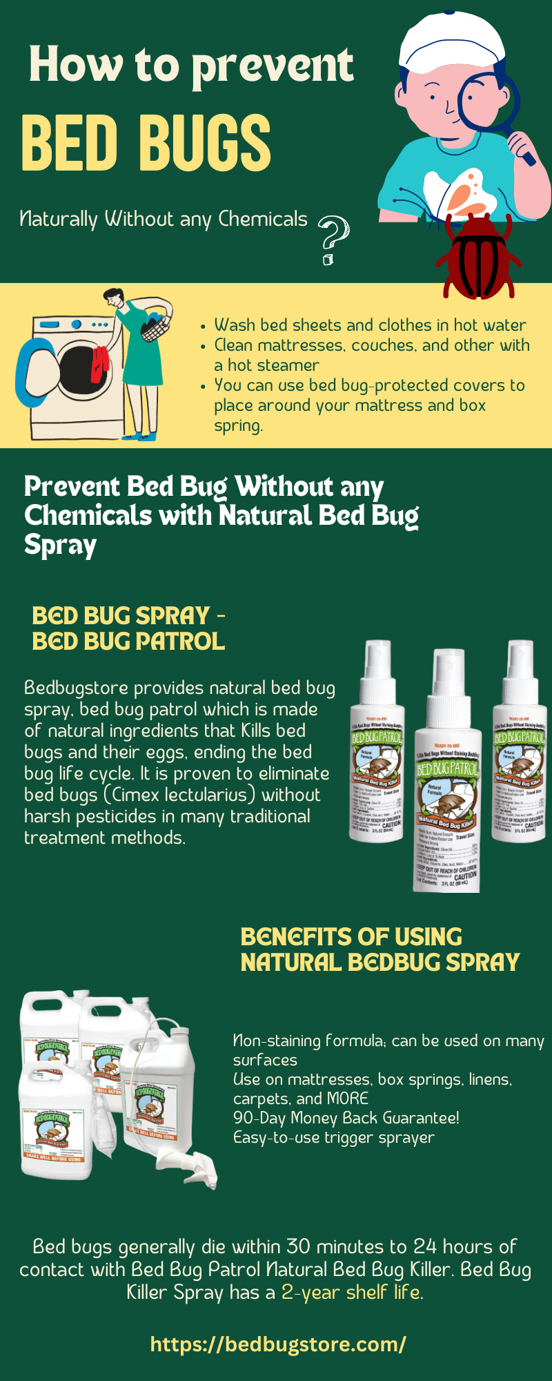 how-to-eliminate-bed-bugs-without-any-chemicals-by-bedbugstore-on-dribbble