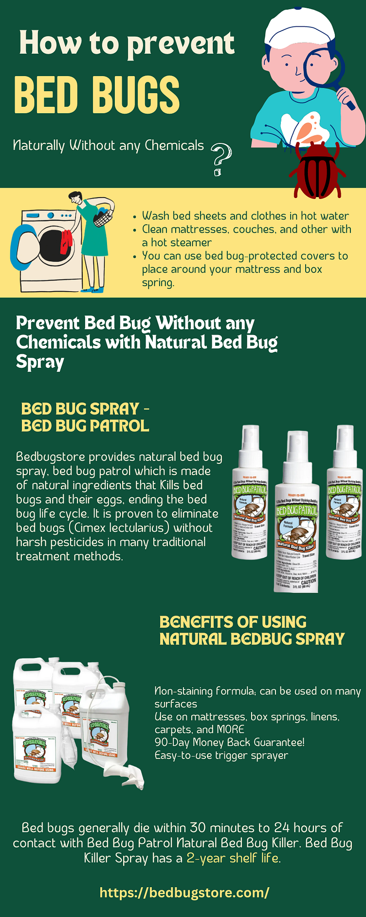 How to Eliminate Bed Bugs without any Chemicals? by Bedbugstore on Dribbble