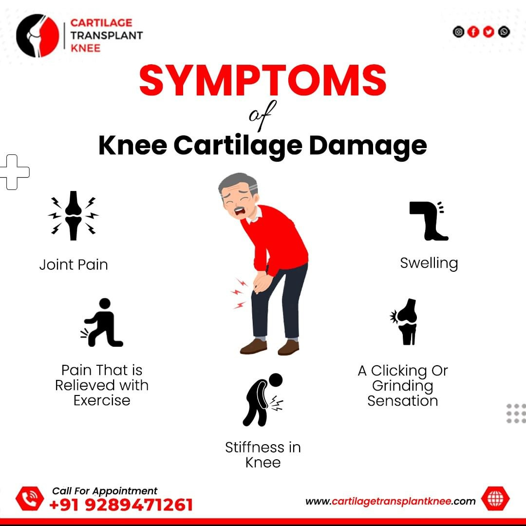 Unraveling Knee Cartilage Damage: Symptoms and Solutions by Cartilage ...