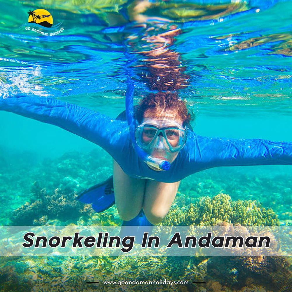 Experience Snorkeling in Andaman! by Go Andaman Holidays on Dribbble