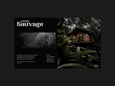 VoyageSauvage Mag Concept design graphic design layout magazine travel typography ui