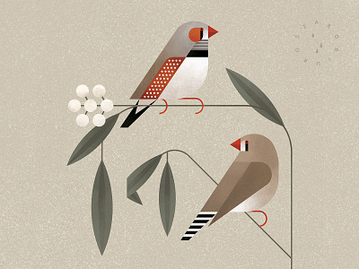 Zebra Finches adobe austarlia birds geometric illustration modern nature wildlife zebra finches