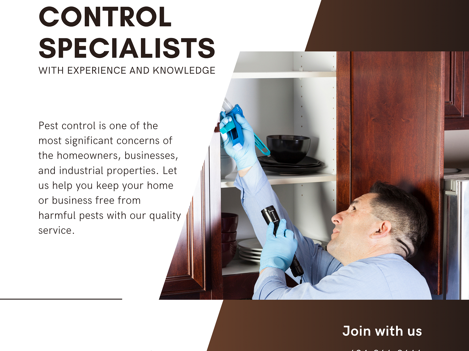 Hobo Spider Control Langley by Mega Pest Control on Dribbble