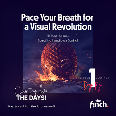 Pace Your Breath for Visual Revolution branding design design studio finchiscoming graphic design launch logo marketing marketing campaign thefinch thefinch design ui ui design vector website launch