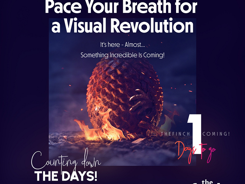 Pace Your Breath for Visual Revolution branding design design studio finchiscoming graphic design launch logo marketing marketing campaign thefinch thefinch design ui ui design vector website launch