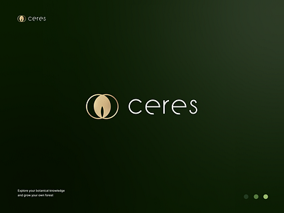 Ceres - Case Study brand branding logo visual id visual identity