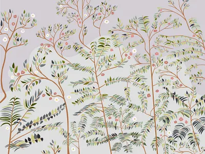 Acacia flowers 2d adobe illustrator flowers illustration vector