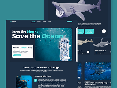 Conservation Charity UI/UX Web Design conservation education shark ui ux wildlife