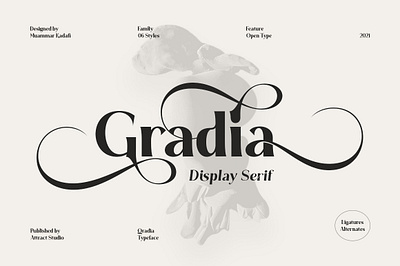 Gradia Display Serif beautiful branding design display font graphic design illustration logo retro font typography
