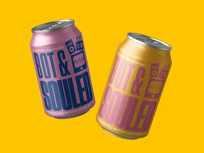 Bot & Souled Natural Soda Concept brand brand identity branding creative design graphic design illustration packaging soda