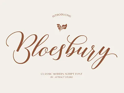 Bloesbury branding calligraphy design font graphic design logo modern script script font typography