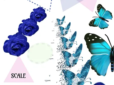 Graphic Scaling app design graphic design illustration vector