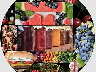 Graphic mood board branding design graphic design ui ux