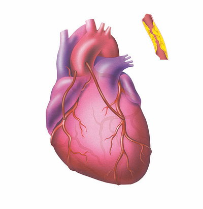 Heart Illustration design illustration