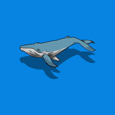 Whale branding design graphic design illustration logo vector