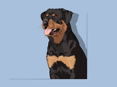 ROTTWEILER branding design graphic design illustration logo vector