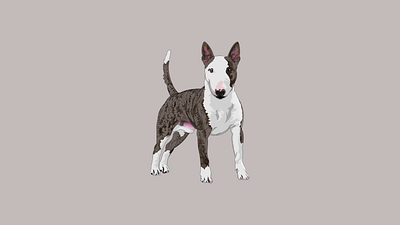 Bull Terrier branding design graphic design illustration logo vector